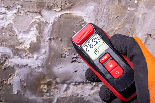 Best Mold Damage Repair  in El Sobrante, CA