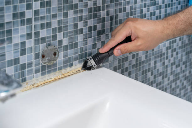 Mold Testing and Removal in El Sobrante, CA